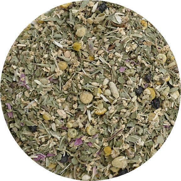 Blend Echinacea Fresh.jpg