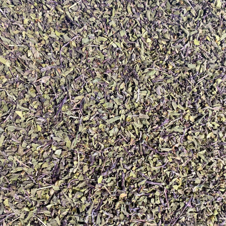 Holybasil Rama
