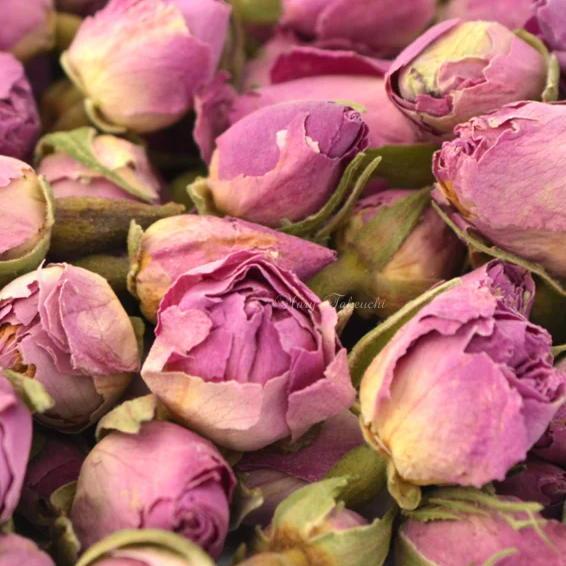 Rosebuds12.jpg