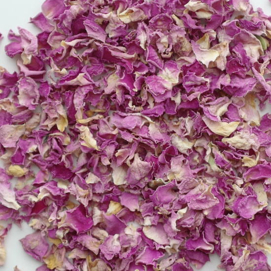 Rose damascena rose pink petal