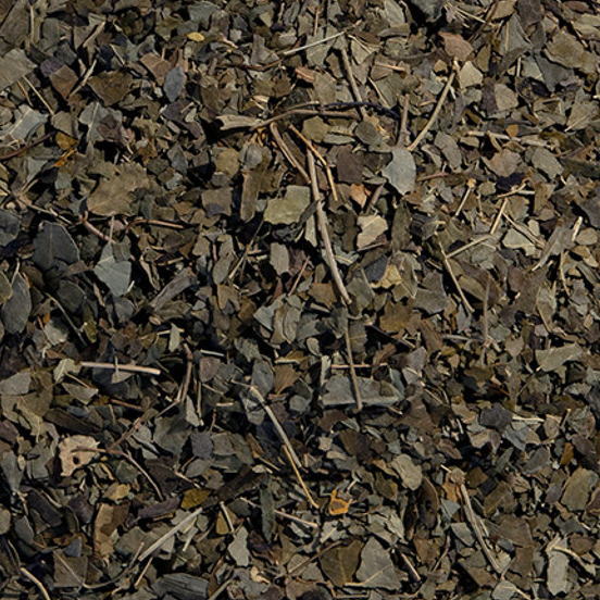 Moringa
