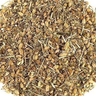 yarrow biodynamic herb